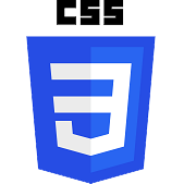 css3 logo